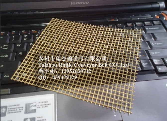 供应凯夫拉布带网格输送带